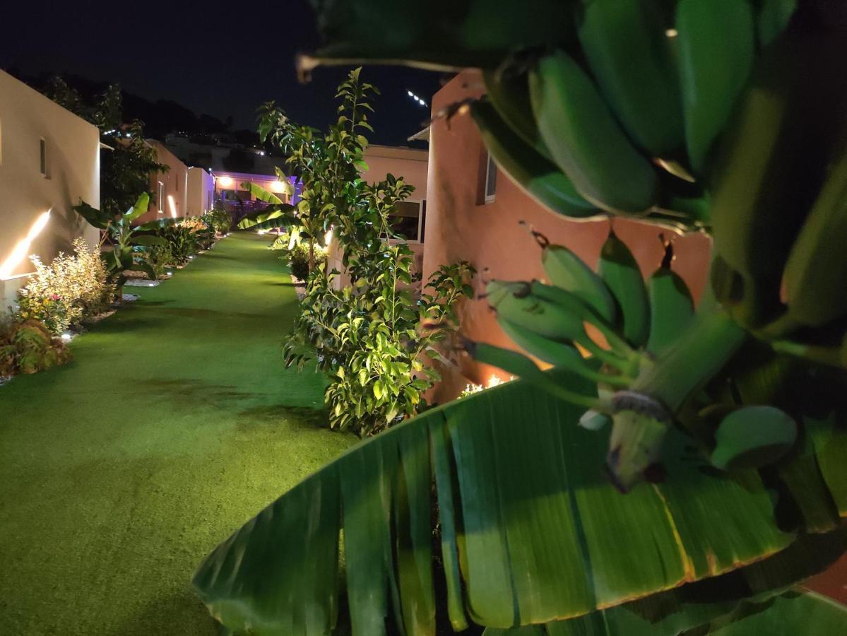 Modular Bungalows With Heated Pool Artemis Greece מראה חיצוני תמונה